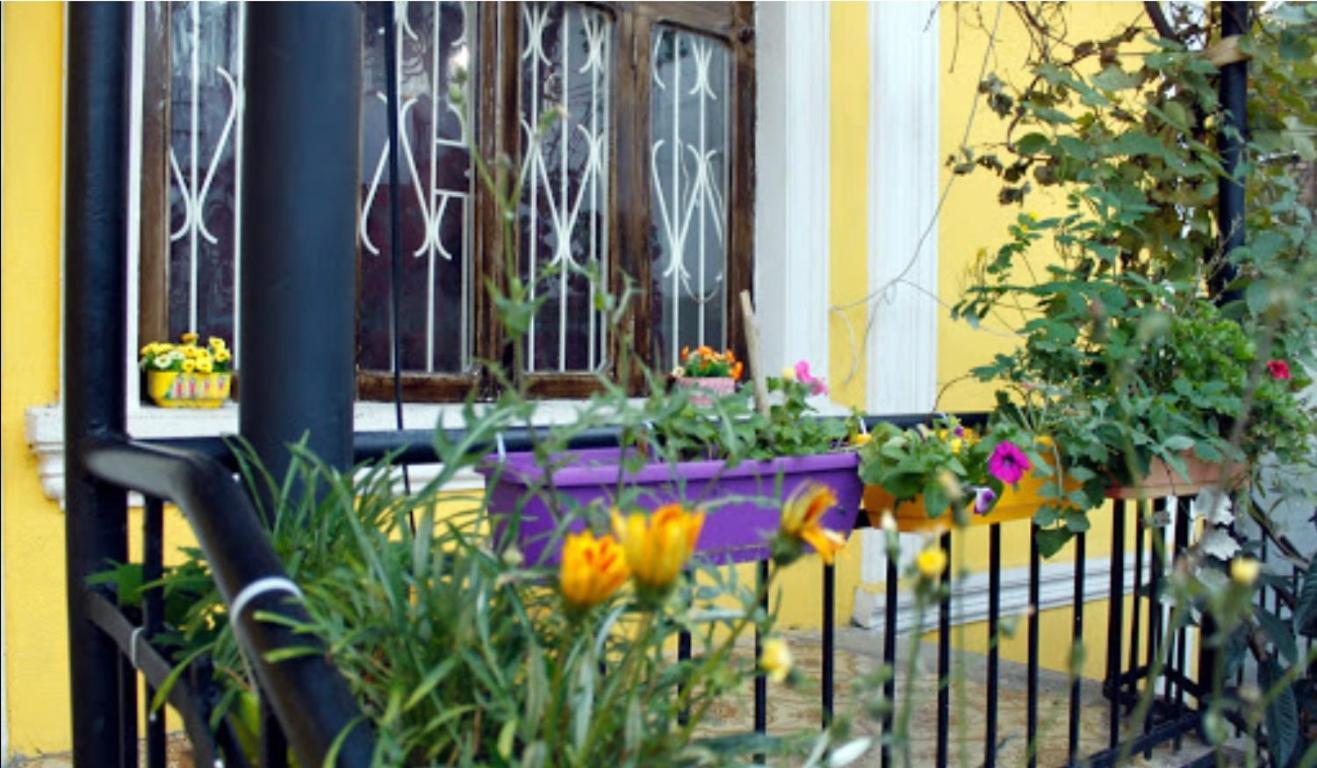 Colors Hostel Tbilisi Exterior foto